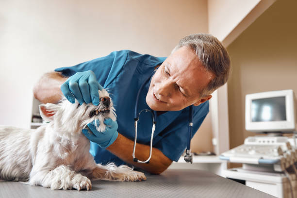 Best Emergency Root Canal Treatment in Intercourse, PA